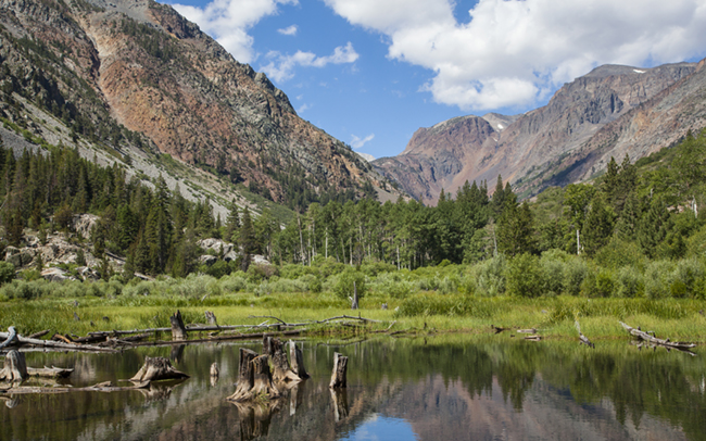 Lundy_Beaver_Pond_Thumbnail.jpg