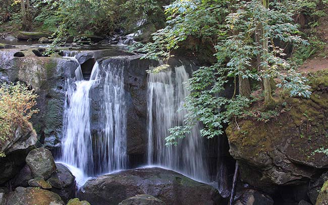 Whatcom-Falls-Thumbnail.jpg