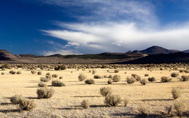 Warm-Field-near-Mono-Lake-Thumbnail.jpg