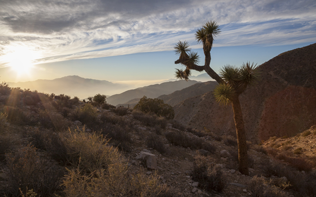 Keys_View_Sunrays_thumbnail.jpg