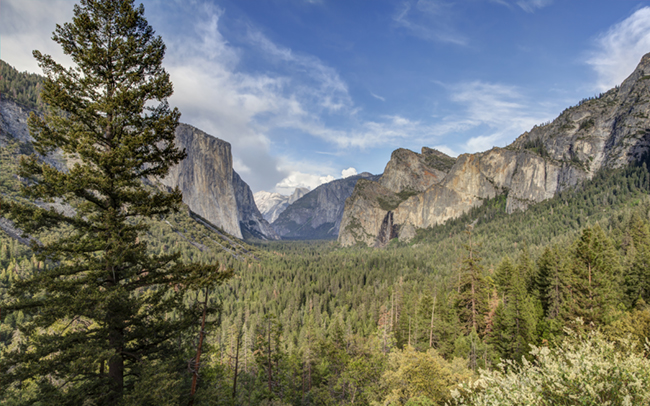 Yosemites_Tunnel_View_Thumbnail.jpg