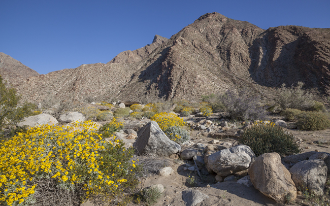 Palm_Canyon_Trail_Thumbnail.jpg