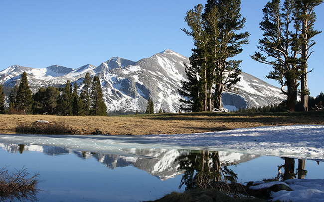 Sierra_Reflections_Thumbnail.jpg